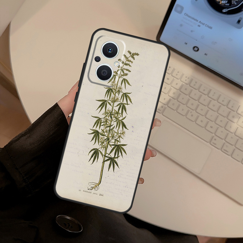 Botanical Drawings Flowers Cas - đánh giá và giá Oppo Reno 12